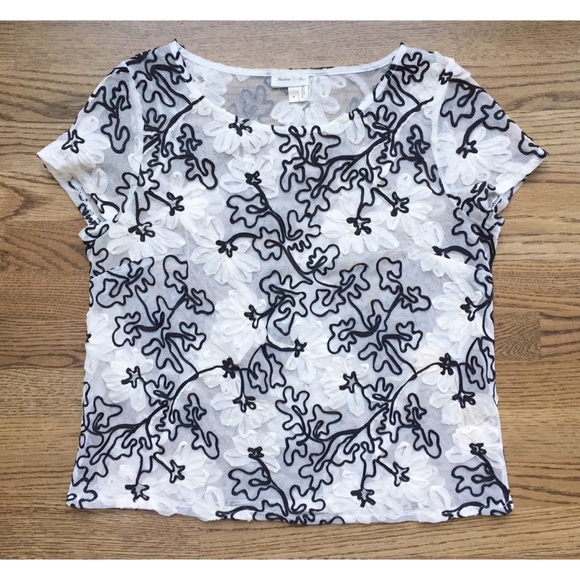 Anthropologie Tops - 🌹Anthropology Meadow Rue sheer ribbon top🌹